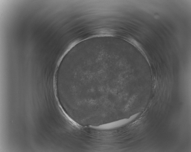 X0000062631243200601041023