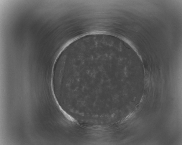 X0000062631245200601041023