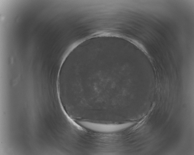 X0000062631247200601041023