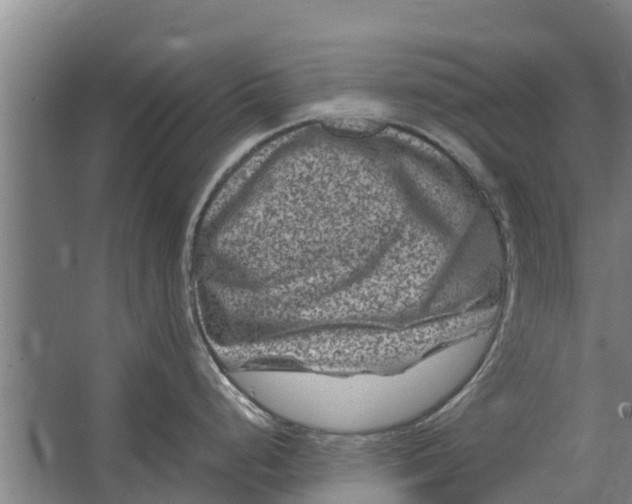 X0000062631248200601041023