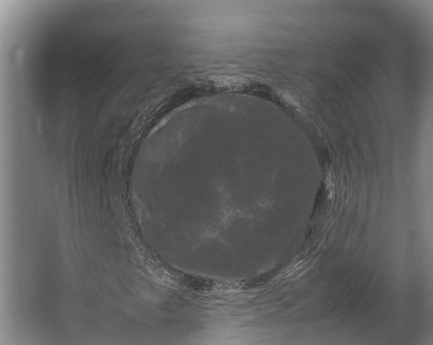 X0000062631249200601041022