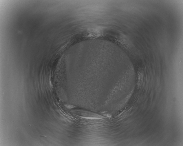 X0000062631250200601041022