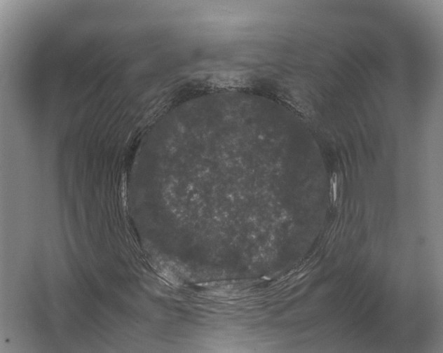 X0000062631251200601041022