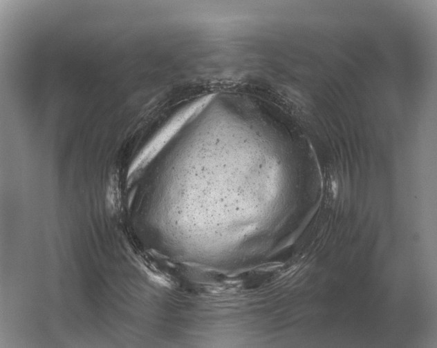 X0000062631252200601041022