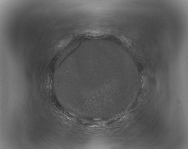 X0000062631253200601041022