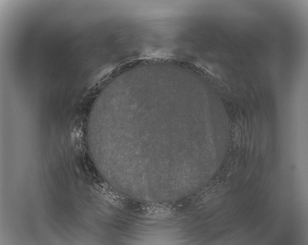 X0000062631254200601041022