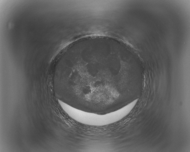 X0000062631255200601041022