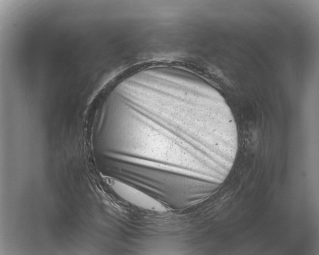 X0000062631256200601041022