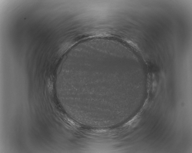 X0000062631257200601041022