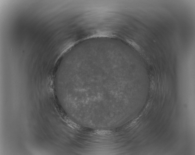 X0000062631258200601041022