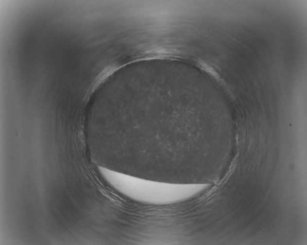 X0000062631259200601041022