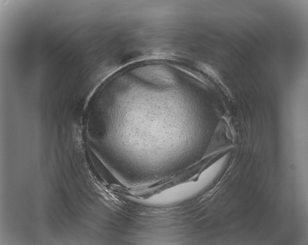 X0000062631260200601041022