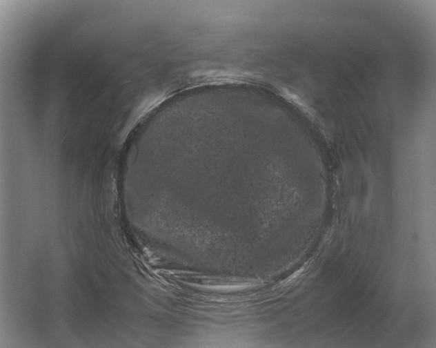 X0000062631261200601041022