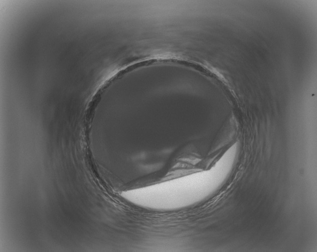 X0000062631263200601041022