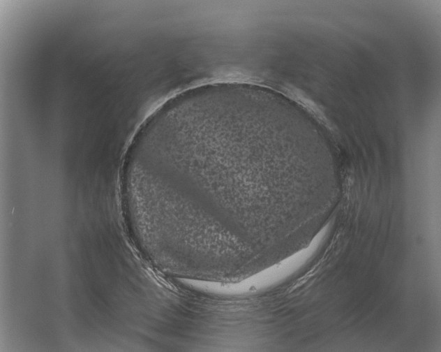 X0000062631264200601041022