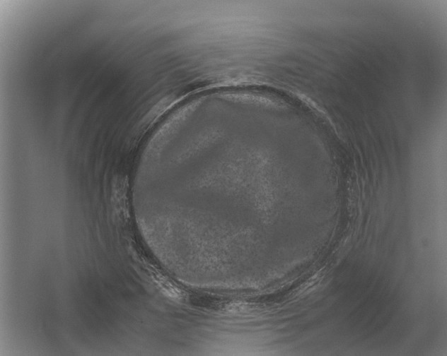 X0000062631265200601041022