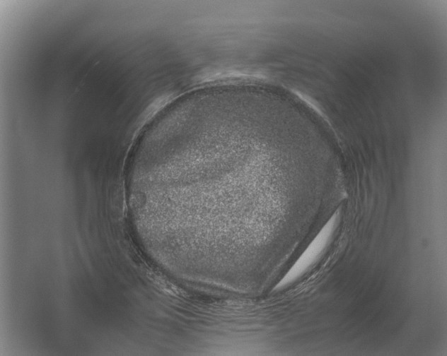 X0000062631267200601041022