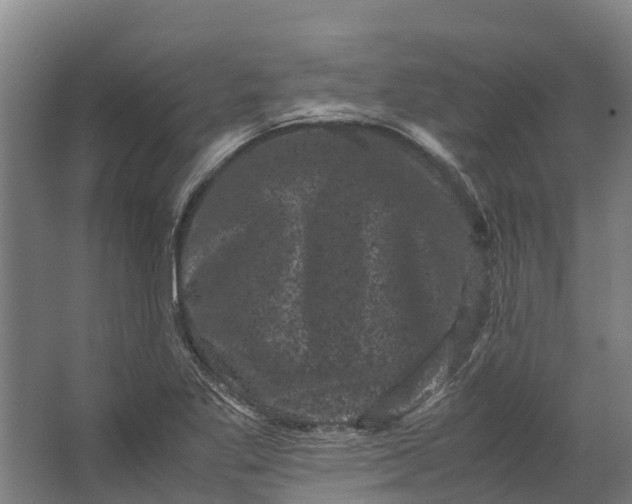 X0000062631269200601041022