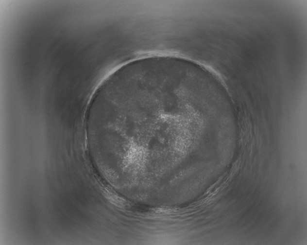 X0000062631271200601041022