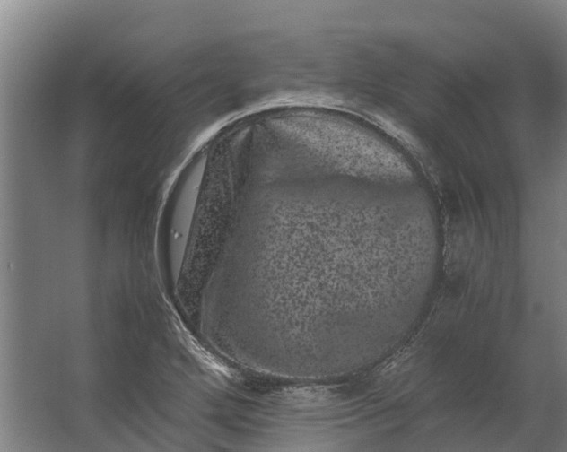 X0000062631272200601041022