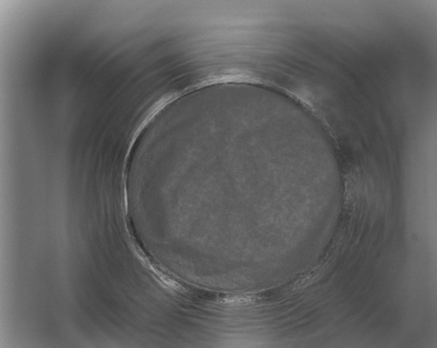 X0000062631274200601041022