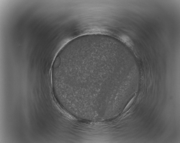 X0000062631275200601041022