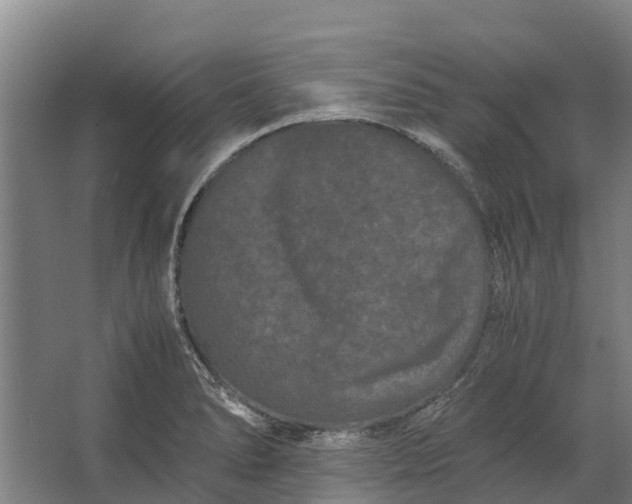 X0000062631278200601041022