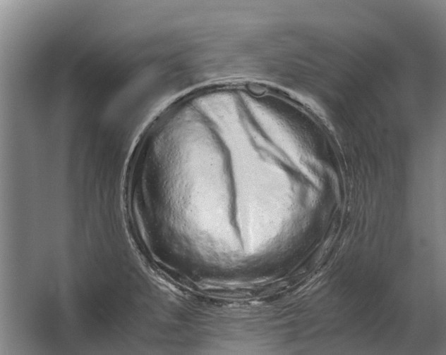 X0000062631279200601041022