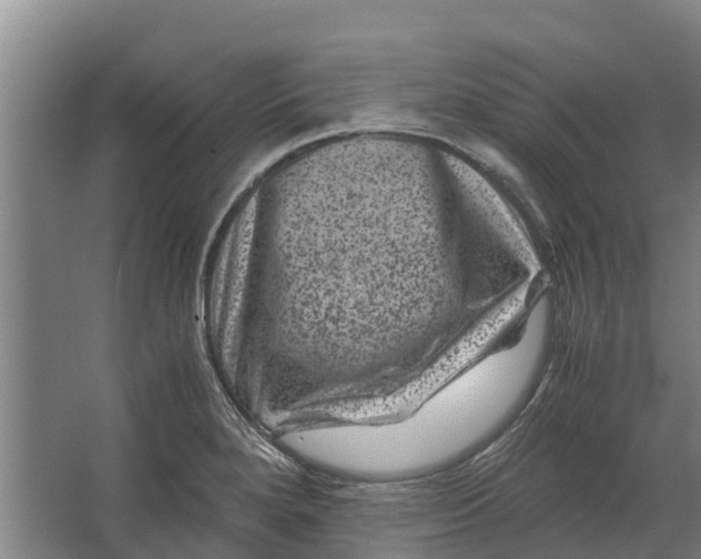 X0000062631280200601041022