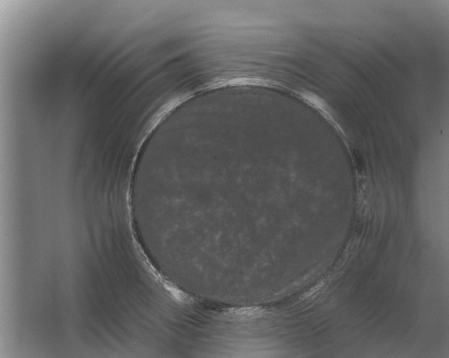 X0000062631282200601041021