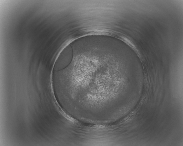 X0000062631283200601041021