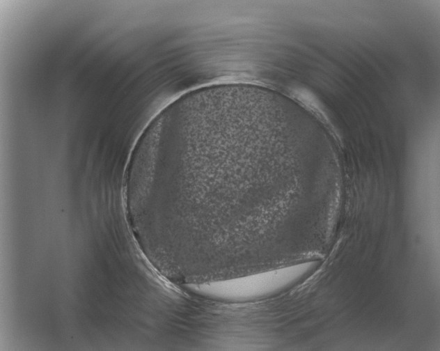 X0000062631284200601041021