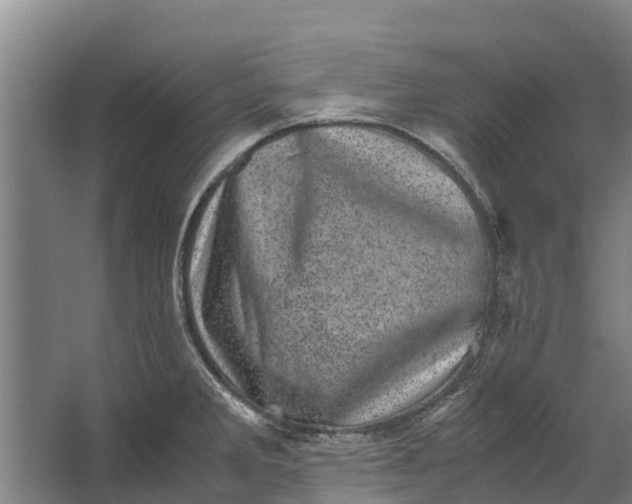 X0000062631285200601041021