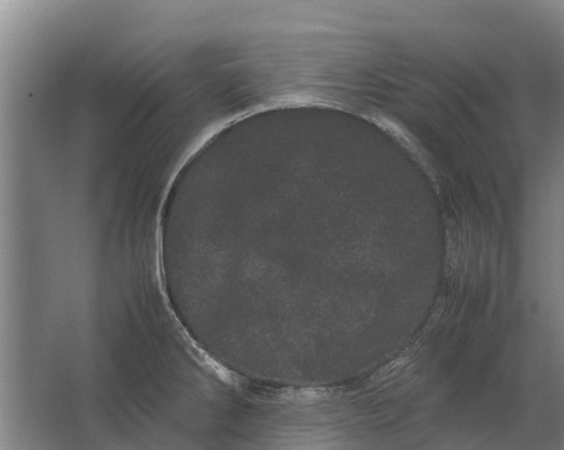 X0000062631286200601041021