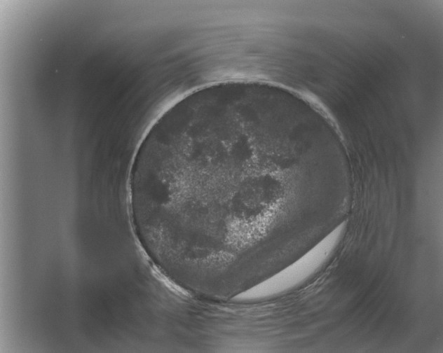 X0000062631287200601041021