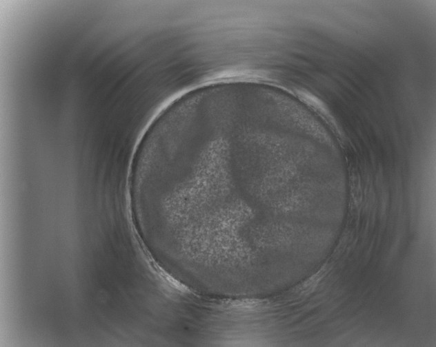 X0000062631288200601041021