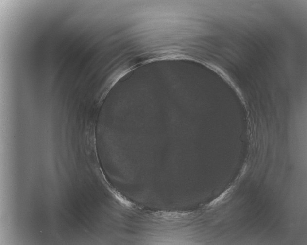 X0000062631289200601041021