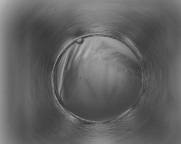 X0000062631291200601041021