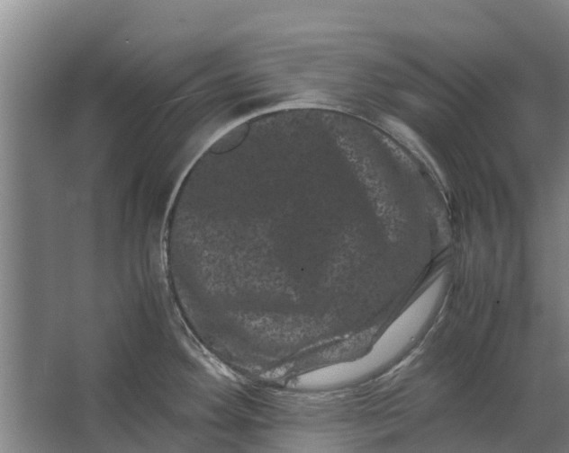 X0000062631292200601041021