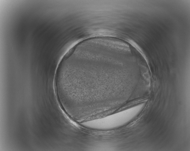 X0000062631293200601041021