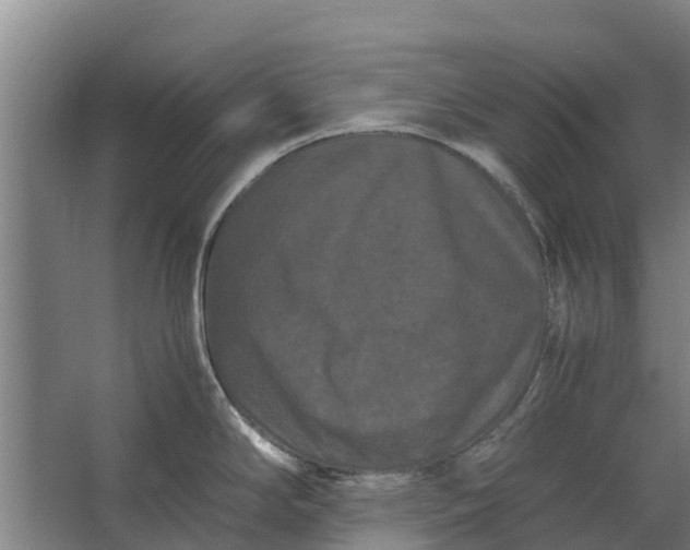 X0000062631294200601041021