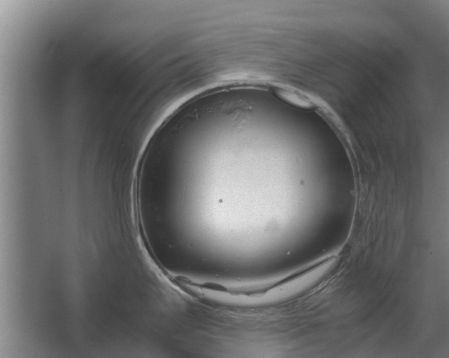 X0000062631295200601041021