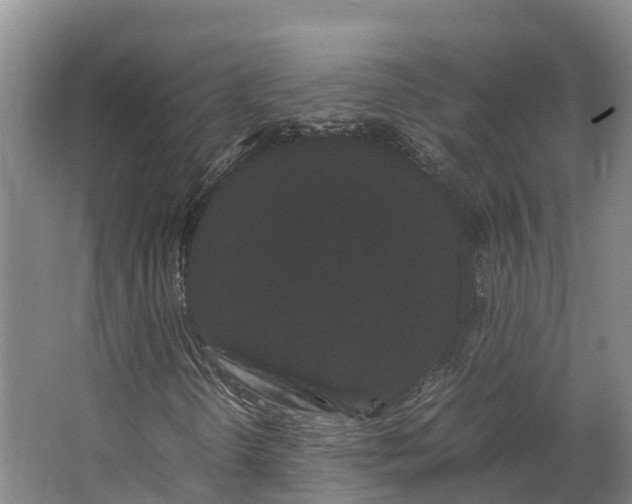 X0000062631298200601041020