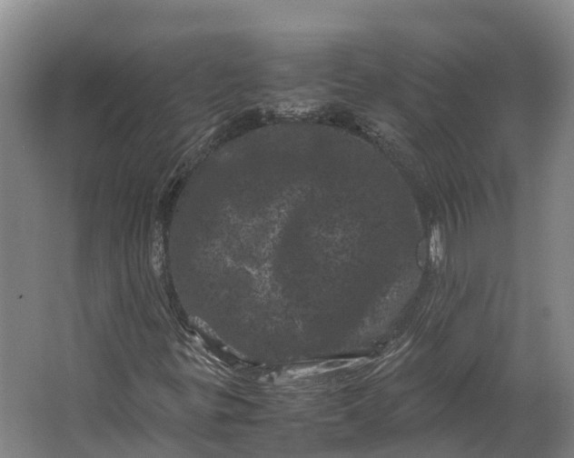 X0000062631299200601041020