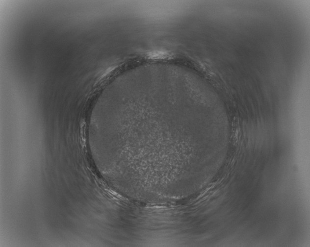 X0000062631301200601041021