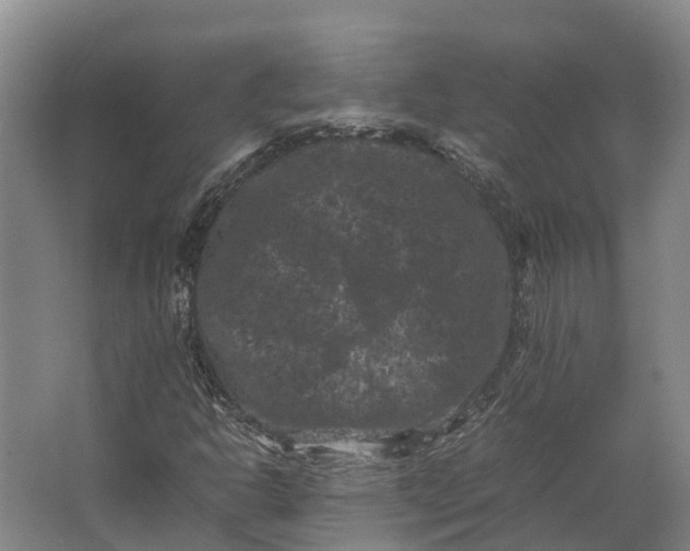 X0000062631302200601041021