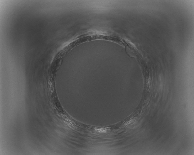 X0000062631303200601041021