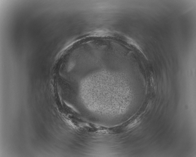 X0000062631304200601041021