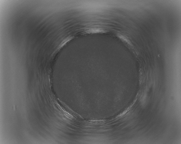 X0000062631305200601041021