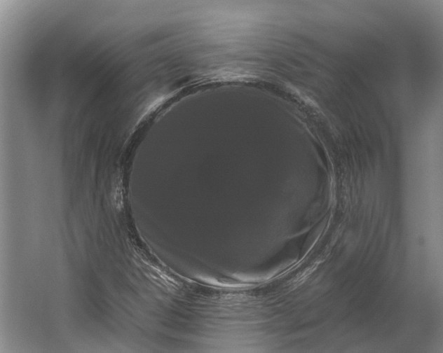 X0000062631306200601041021